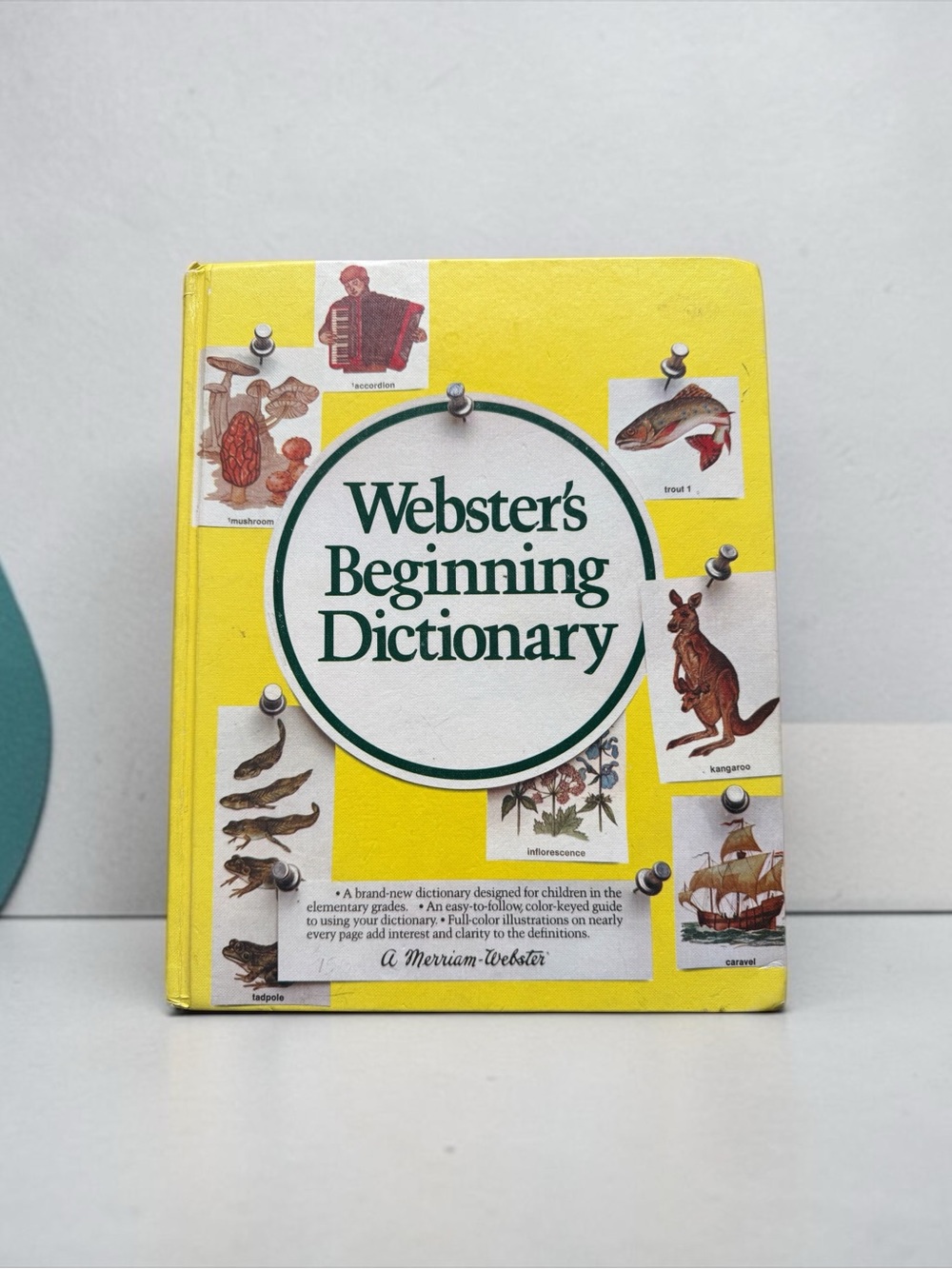 🫶🏻 Webster's Beginning Dictionary - Kids Dictionary